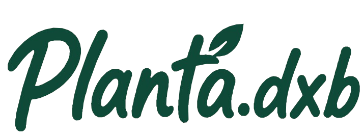 Planta.dxb