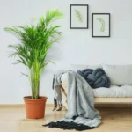 iPhone dock - Image 4